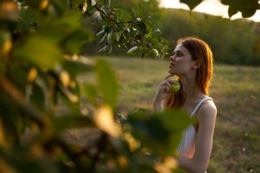 Tarla elması içindeki kızıl saçlı kadın. Doğal meyve.
