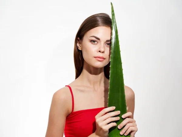 Modelo Cosmetologia Retrato Bela Mulher Foto Alta Qualidade — Fotografia de Stock