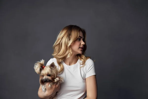 blonde with a small purebred dog on  dark background. High quality photo