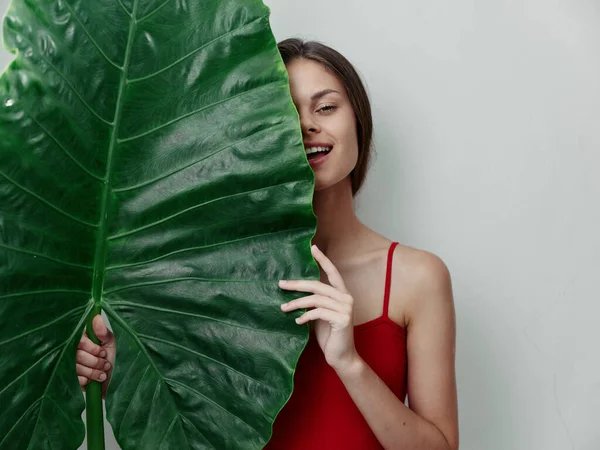Kırmızı mayo giymiş güzel bir kadın. Palmiye yaprağı tropikleri. Cazibeli hafif arka plan. — Stok fotoğraf