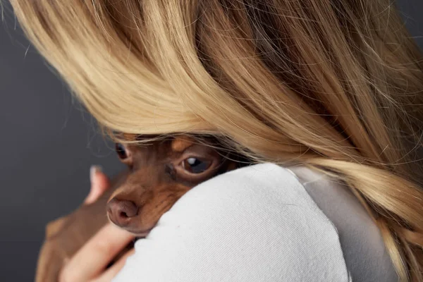 Femme mignonne avec petit chien de race amusement de mode de chien — Photo