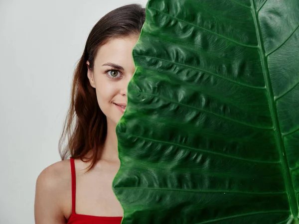 Sorrindo mulher em um maiô espreitando atrás de um estúdio de folha verde — Fotografia de Stock