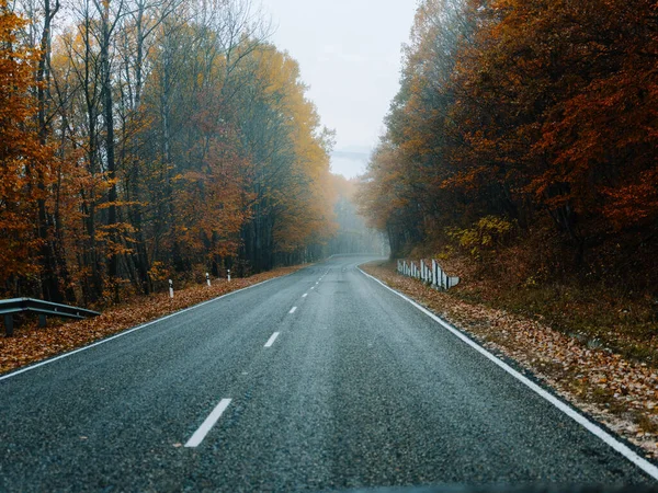 Weg mist herfst natuur reis landschap — Stockfoto