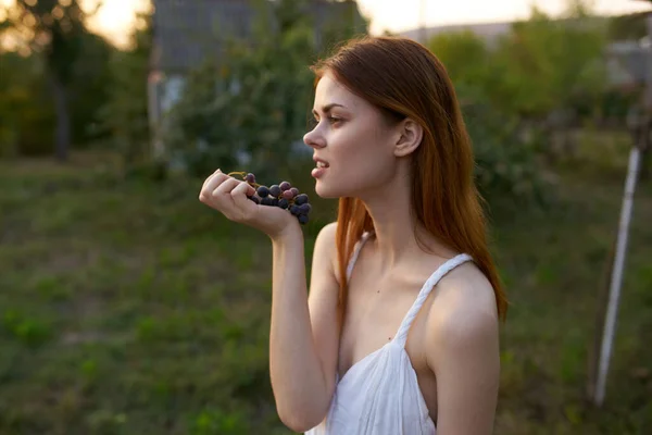 Mulher comendo uvas natureza sim descanso orgânico — Fotografia de Stock