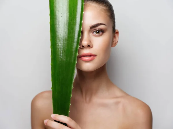 Mulher sexy com folha de aloés verde ombros nus pele clara — Fotografia de Stock