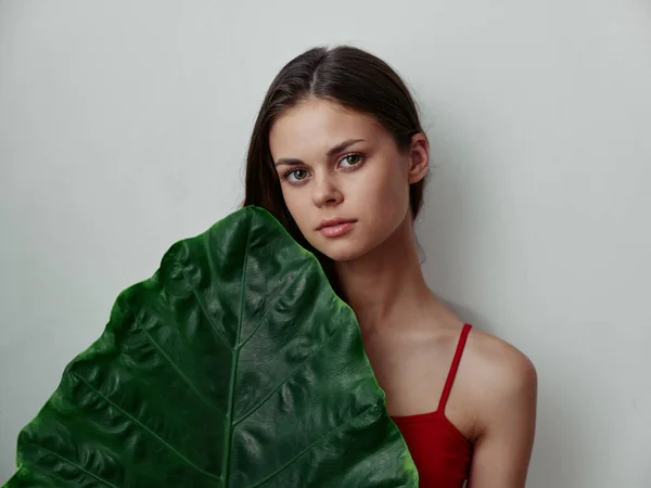 Mujer Bonita Con Hoja Verde Estudio Foto Alta Calidad — Foto de Stock