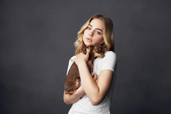 Vrolijk blond met een kleine hond in de handen van een chihuahua dier vriendschap — Stockfoto