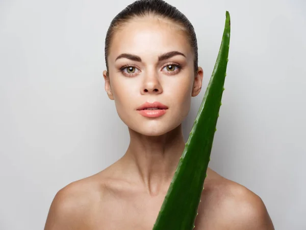 Woman with bare shoulders clean skin cosmetology and green aloe leaf — Fotografia de Stock