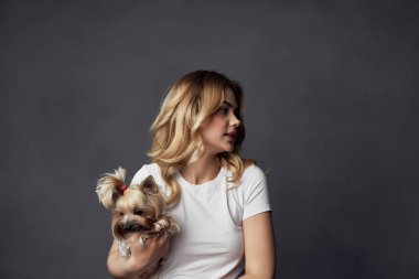 Küçük safkan bir köpek yavrusu gülüşü koyu arkaplan