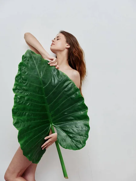 Mujer con los ojos cerrados cuerpo desnudo posando hoja de palma exótica —  Fotos de Stock