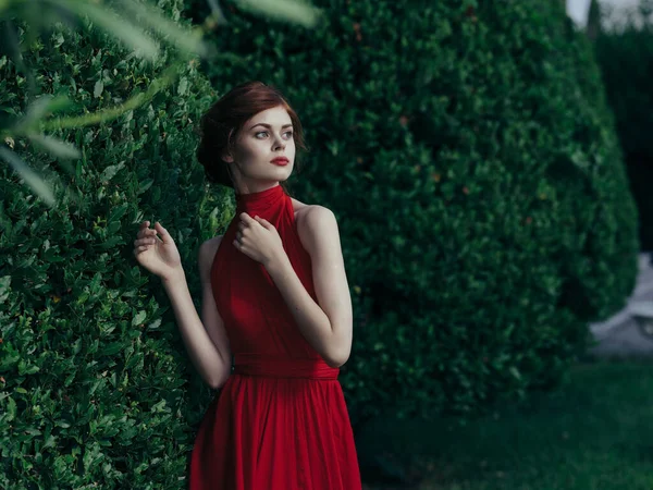 Csinos nő közel bokrok piros ruha dekoráció Tündér — Stock Fotó