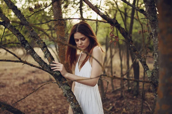 Mooie vrouw wandelen in het bos in de buurt van de bomen in de zomer — Stockfoto