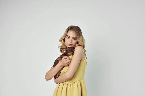 노란 드레스를 입은 아름다운 여인 이 작은 개가 유행을 따르는 재미를 즐긴다 — 스톡 사진