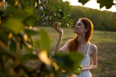 Tarla elması içindeki kızıl saçlı kadın. Doğal meyve.