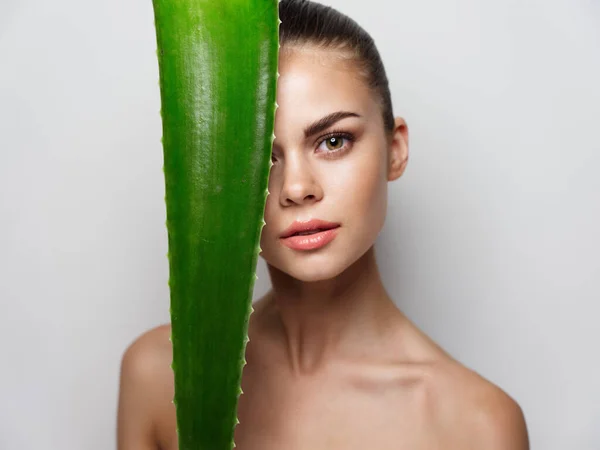 Mulher com folha de aloés verde antes dos olhos cosmetologia pele limpa olhar natural — Fotografia de Stock