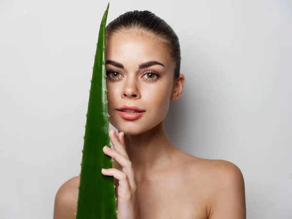 Donna con spalle nude e foglia di aloe in primo piano cosmetologia modello pelle pulita — Foto Stock