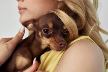 Sarı elbiseli güzel bir kadın. Küçük bir köpek ışıklandırması stüdyosu.