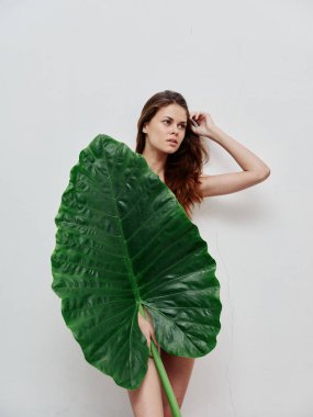 Açık arkaplanda palmiye yaprağı olan kızıl saçlı güzel bir kadın.