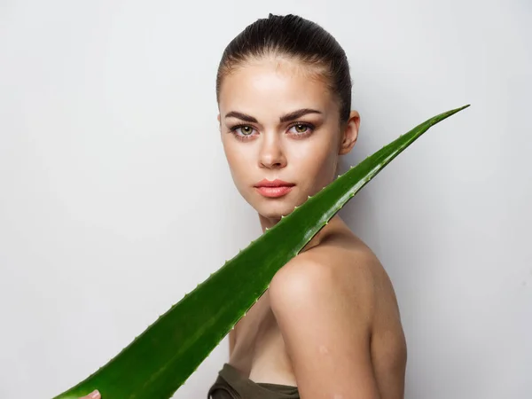 Folha de aloés verde mulher bonita pele limpa cosmetologia juventude — Fotografia de Stock