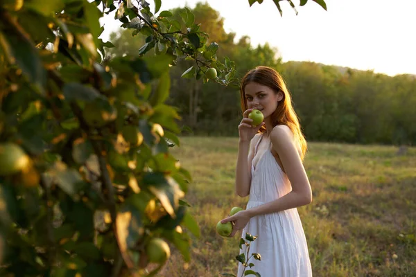 Glad kvinna i en vit klänning på naturen äpplen — Stockfoto