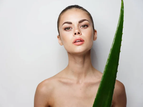 Folha de aloés verde mulher bonita pele limpa cosmetologia beleza dos jovens — Fotografia de Stock