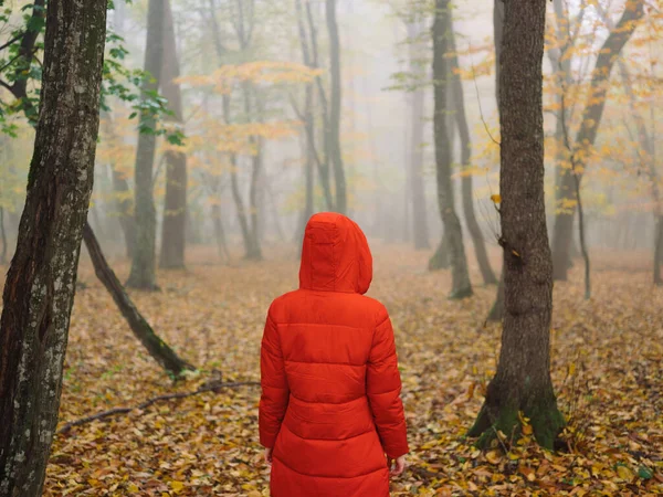 Nő piros kabát őszi erdő friss levegő természet — Stock Fotó