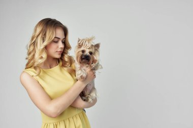Sarı elbiseli güzel bir kadın. Eğlenceli. Küçük bir köpek izole edilmiş.