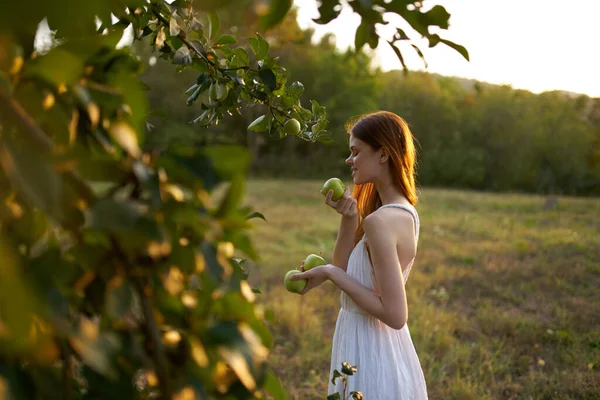 Donna Abito Bianco Raccoglie Mele Sulla Natura — Foto Stock