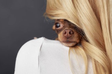 Küçük köpekli güzel bir kadın. Geçmişi karanlık. Yüksek kalite fotoğraf