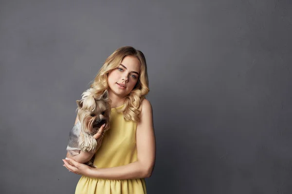 Woman with small purebred dog and fun fashion friendship — Stock Photo, Image