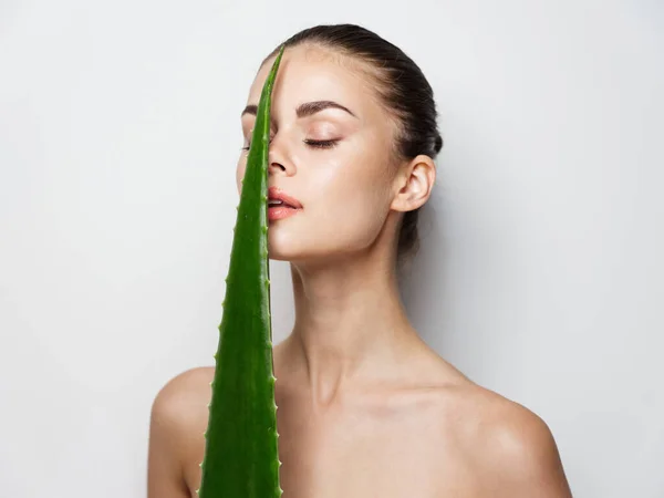 Retrato de uma mulher com folha de aloés verde pele limpa cosmetologia olhar natural — Fotografia de Stock