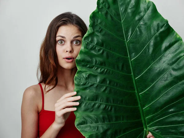 Mujer en un traje de baño rojo gran hoja verde en sus manos mirada sorprendida de cerca —  Fotos de Stock