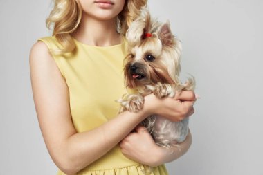 Kadın modaya uygun safkan köpek ışık arka plan stüdyosu