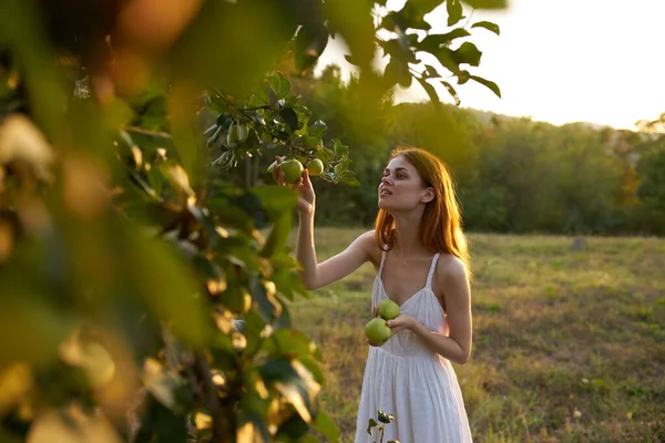 Donna allegra in un vestito bianco su mele di natura — Foto Stock