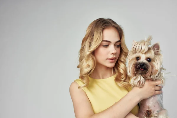 woman in a yellow dress fun a small dog cropped view fashion