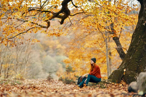 Kobieta Turysta Jesiennym Lesie Siedzi — Zdjęcie stockowe