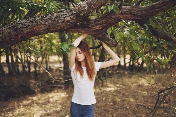 新鮮な空気の上の木の近くに立っているきれいな女性 高品質の写真 — ストック写真