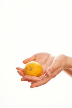 limon ve salata malzemesi. Yakın plan.