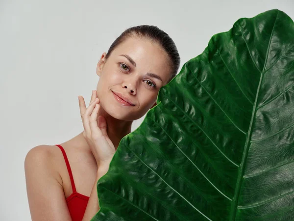 Jovem mulher limpa pele verde folha de palma natural olhar cosmetologia — Fotografia de Stock