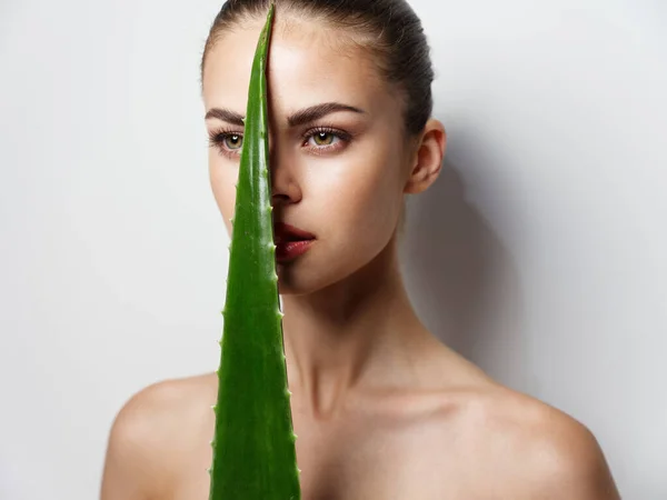 Folha de aloés verde nas mãos de uma mulher com ombros nus fundo claro luz da pele — Fotografia de Stock