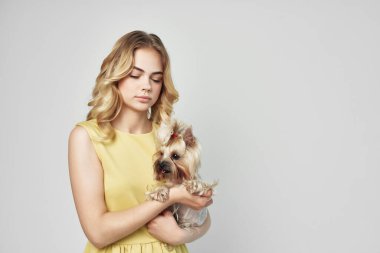 Güzel bir kadın. Modaya uygun safkan köpek ışık arka plan stüdyosu.