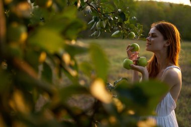 Beyaz elbiseli güzel kadın. Elma ağacı meyvesi.