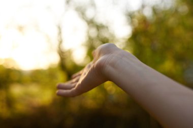 Kadın eli doğa manzarası seyahat yaşam tarzı