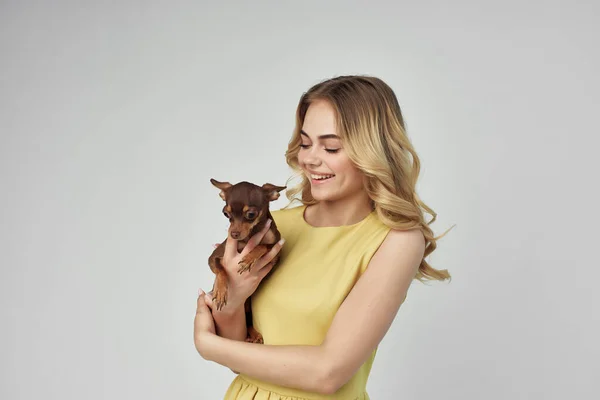 woman pet posing fashion isolated background