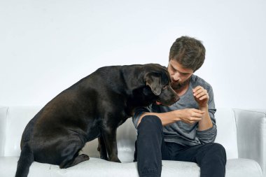 Adam kanepede köpekle oynuyor. Arkadaşlık yaşam tarzında.