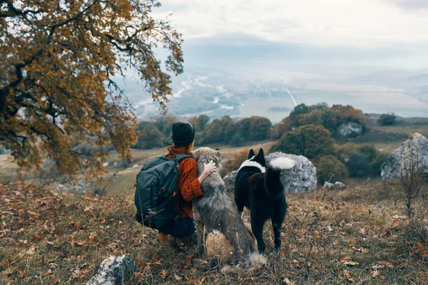 女人带着狗在山里旅行秋天的友谊 — 图库照片