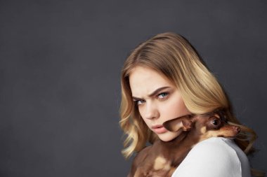 Sarışın köpek stili yaşam tarzı izole edilmiş arka plan