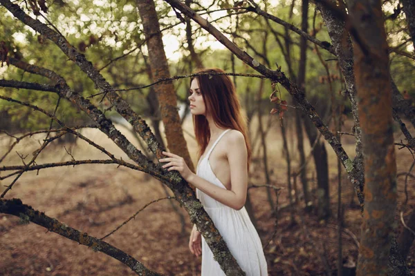 Attractive woman in white dress holding a tree nature posing — Stock Photo, Image