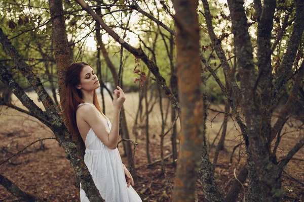 Γυναίκα Λευκό Φόρεμα Ακουμπισμένη Ένα Δέντρο Στο Δάσος — Φωτογραφία Αρχείου
