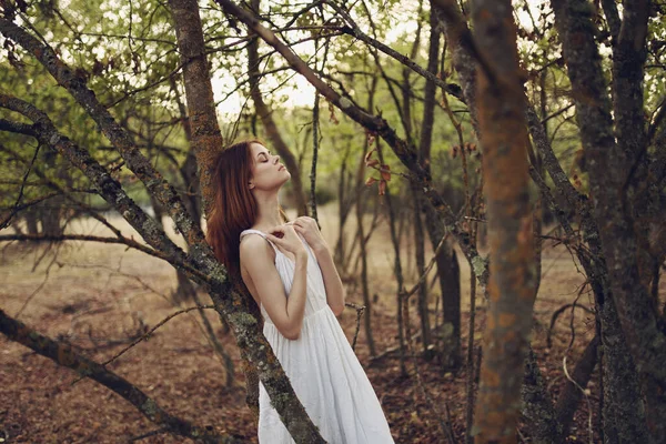 Mulher Bonita Vestido Branco Apoiando Uma Árvore Floresta Verão Foto — Fotografia de Stock